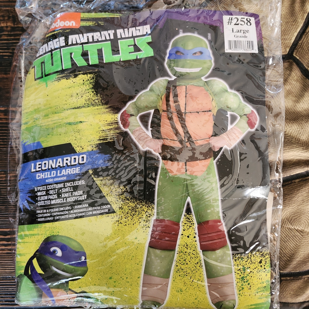 Nickelodeon Teenage Mutant Ninja Turtles Leonardo Kids Costume - Green